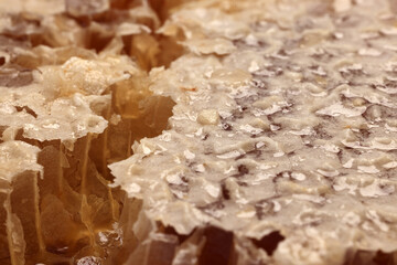 Sticky liquid honey natural geomatic hexagon honeycomb macro cluse up