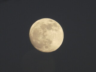 Dettaglio della Luna piena in cielo notturno 