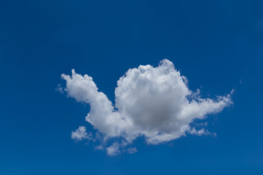 Fresh blue sky with floated white soft and fluffy clouds shown shaping like a snail creep or crawling. Background for kid education or imagination learning for children. Image of the animal cloud.