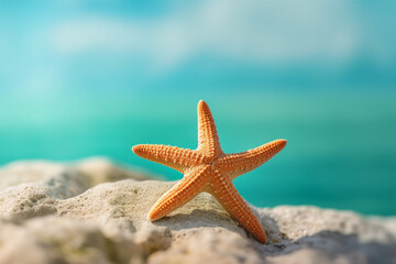 Fototapeta na wymiar Starfish on the beach, shallow depth of field, selective focus