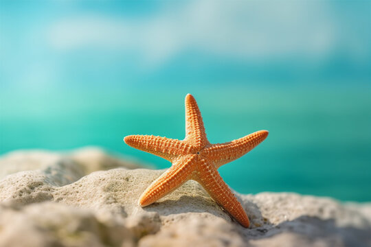 Starfish on the beach, shallow depth of field, selective focus