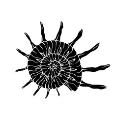 Decorative silhouette of a seashell.Vector graphics.
