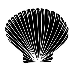 Decorative silhouette of a seashell.Vector graphics.