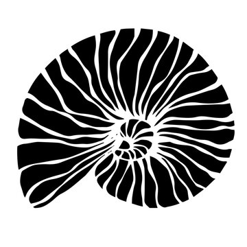 recommend clip art: Decorative silhouette of a seashell.Vector graphics.