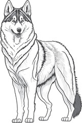 Vector dog outline,  Siberian Huskie