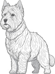 Vector dog outline,  West Highland White Terrier