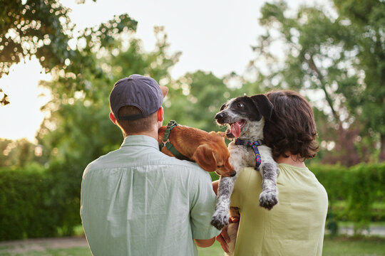 Support, care or happy family, men and kids bonding with foster puppy or pet and enjoying time together. High quality photo