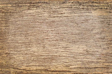 Fototapeta premium Wood plank brown texture abstract background.