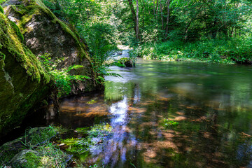 stream in the green forest