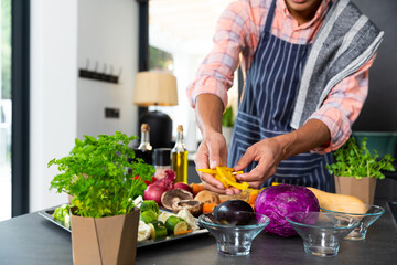 Midsection of biracial man wearing apron preparing meal with chopped vegetables in kitchen