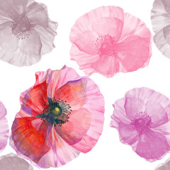 Red and pink poppies watercolor painted isolated on white background seamless pattern for all prints.