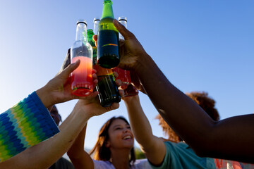 Happy diverse group of friends having party, drinking beer and making toast in garden