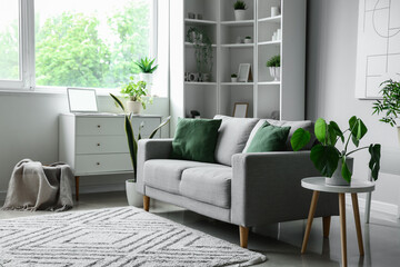 Interior of light living room with cozy grey sofa and houseplants