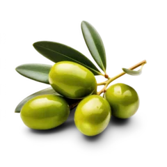 Fototapeten Green olives with leaves isolated on transparent background © fotogurmespb