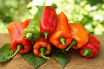 Variety of peppers.