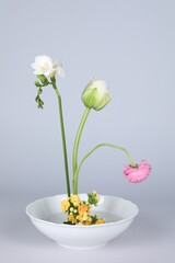 Stylish ikebana as house decor. Beautiful fresh flowers on white background