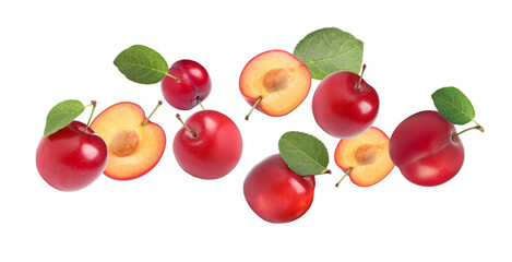 Delicious ripe cherry plums with leaves falling isolated on white