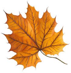 Watercolor autumn leaf. AI Generative