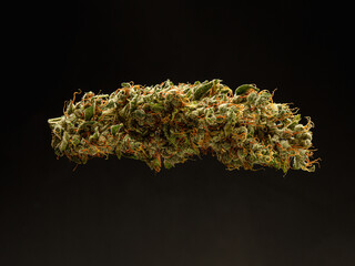 Premium dry cannabis buds against a black background.