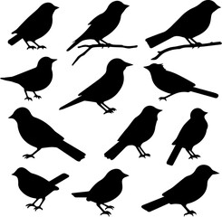 silhuette bird images