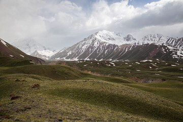 Fototapeta premium Beautiful nature of Kyrgystan at summer