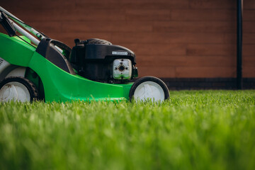 Fototapeta premium Close up of mower cutting the grass.