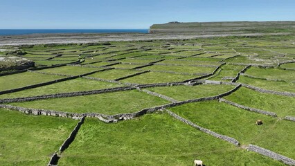 flyover of ancient field system and lush pastures Inis More Aran Islands West Of Ireland