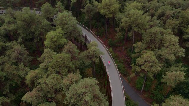Drone shot of Fietsen door de bomen Belgium with woman cycling at path, aerial