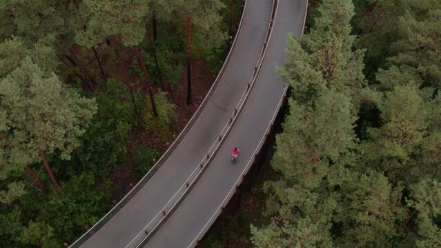 Top down of woman on bicycle at Fietsen door de bomen at Lommel Belgium, aerial