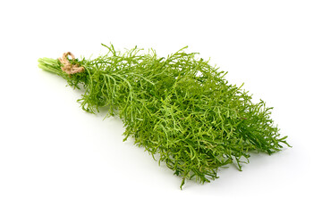 Fennel bunch isolated on white background.