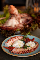 Delicacy of boiled huge octopus tentacles with mozzarella of buffalo and branch of rosemarie 