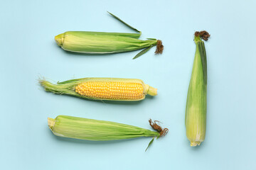 Fresh corn cobs on blue background