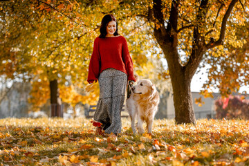 Beautiful girl with golden retriever dog in autumn park with yellow leaves. Pretty young woman with purebred doggy labrador at fall season at nature together