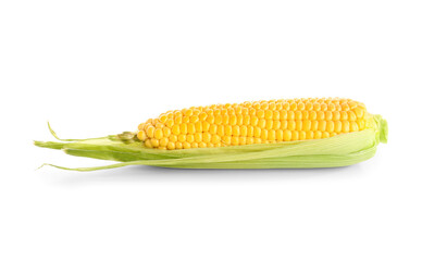 Fresh corn cob on white background