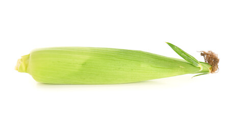 Fresh corn cob on white background