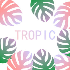 Tropic leaf