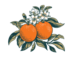 Orange branch with flowers green leaves fitness vitamins delicious juicy