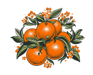 Orange branch with flowers green leaves fitness vitamins delicious juicy