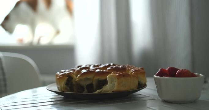 homemade meat pie, meat pastry, fresh cooked in the plate on the table might be cafeteria. High quality 4k footage