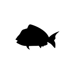 Fish vector silhouette
