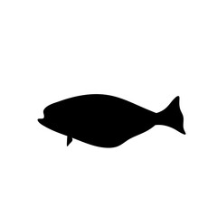 Fish vector silhouette