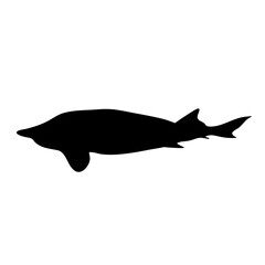 Fish vector silhouette