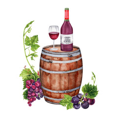 Watercolor illustration with grapes, wine glass, red wine bottle, corkscrew, barrel, grape leaves. Hand drawn isolated element. Perfect for restaurant menus and wine tasting designs.