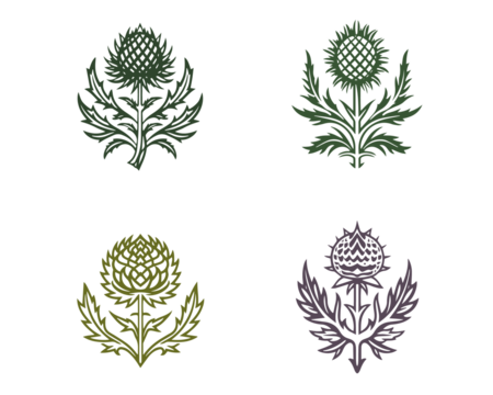 Thistle prickly herbaceous plants print tattoo logo simbol