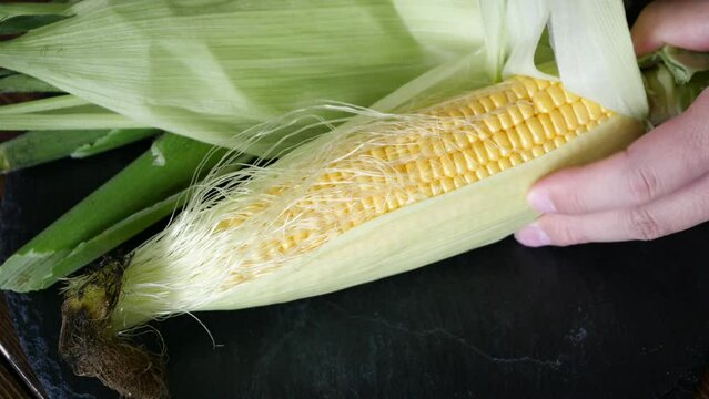 とうもろこしの皮を剥ぐ動画。夏が旬の日本の野菜。