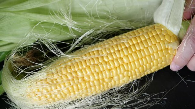 とうもろこしの皮を剥ぐ動画。夏が旬の日本の野菜。