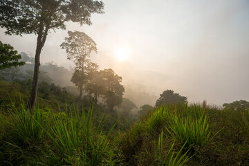 Fototapeta na wymiar Mountains in Honduras