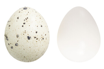 Quail eggs in shell and without on an isolated white background.