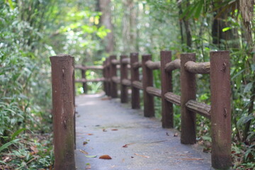 Walking wood bridge natural floor