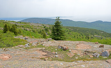 Picturesque mountain landscapes of Acadia National Park  on foggy morning. State of Maine. USA